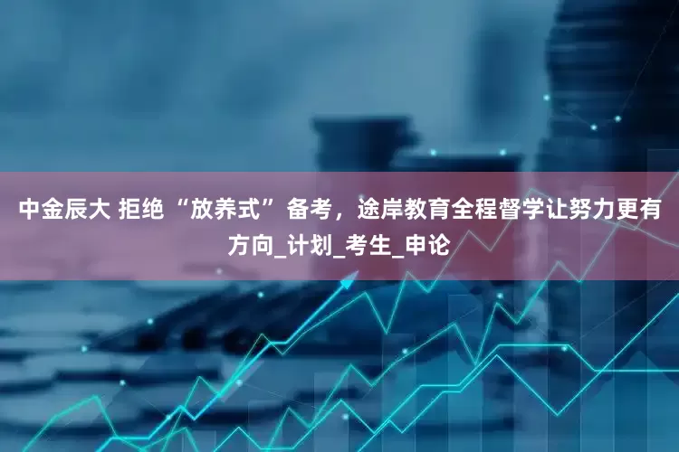 中金辰大 拒绝 “放养式” 备考，途岸教育全程督学让努力更有方向_计划_考生_申论
