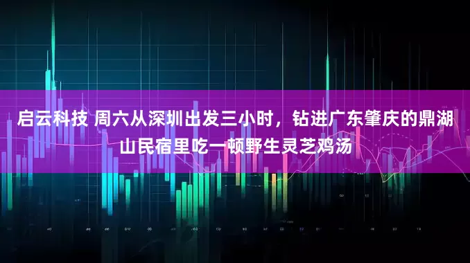 启云科技 周六从深圳出发三小时，钻进广东肇庆的鼎湖山民宿里吃一顿野生灵芝鸡汤